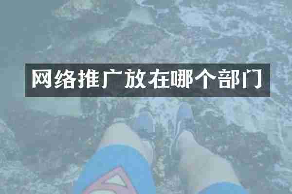 网络推广放在哪个部门