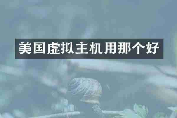美国虚拟主机用那个好