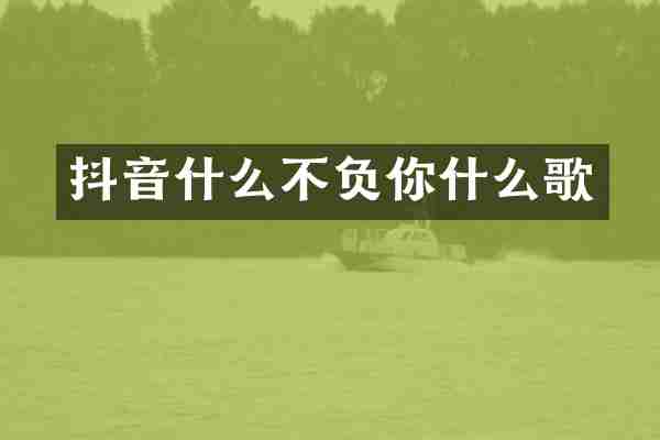 抖音什么不负你什么歌