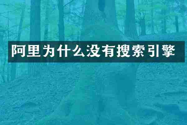 阿里为什么没有搜索引擎
