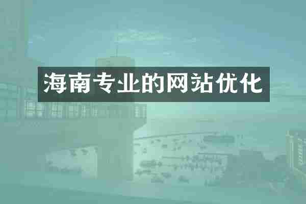 海南专业的网站优化