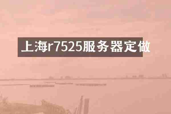 上海r7525服务器定做