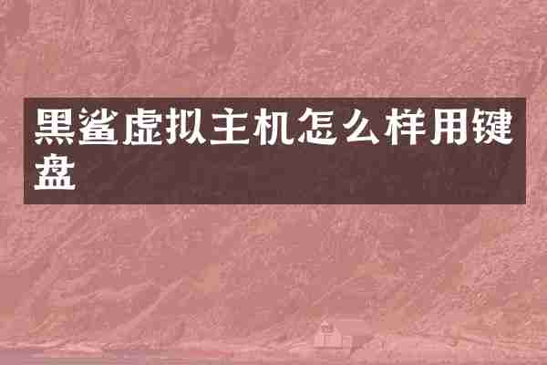 黑鲨虚拟主机怎么样用键盘