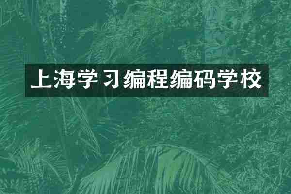上海学习编程编码学校