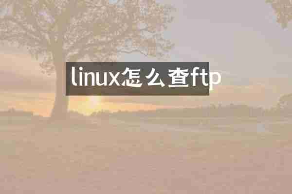 linux怎么查ftp