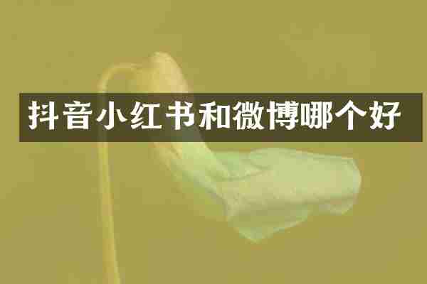 抖音小红书和微博哪个好