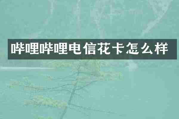 哔哩哔哩电信花卡怎么样