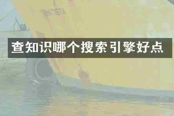查知识哪个搜索引擎好点