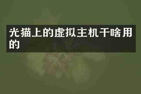 光猫上的虚拟主机干啥用的