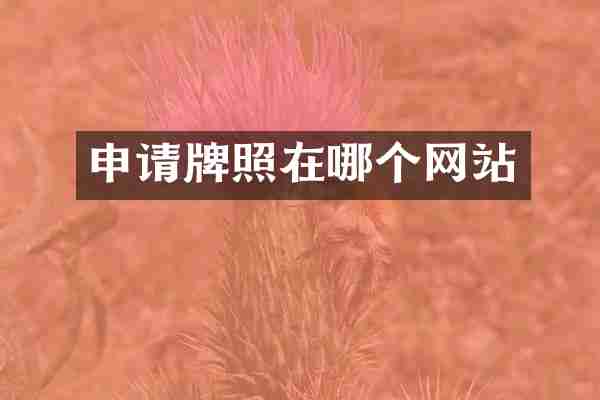 申请牌照在哪个网站
