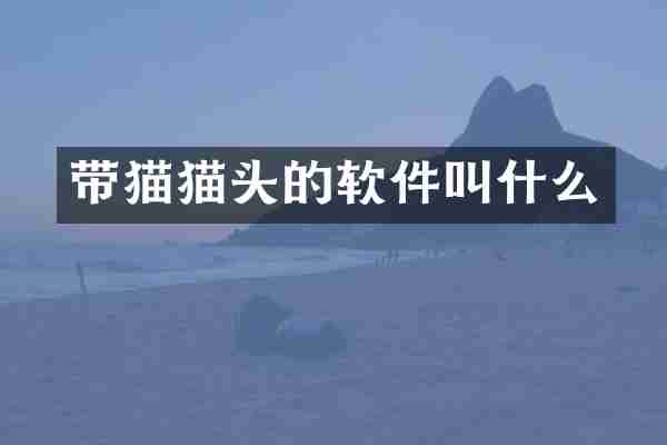 带猫猫头的软件叫什么
