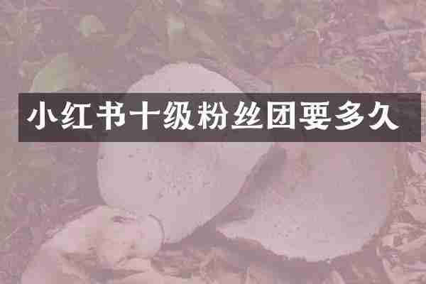 小红书十级粉丝团要多久