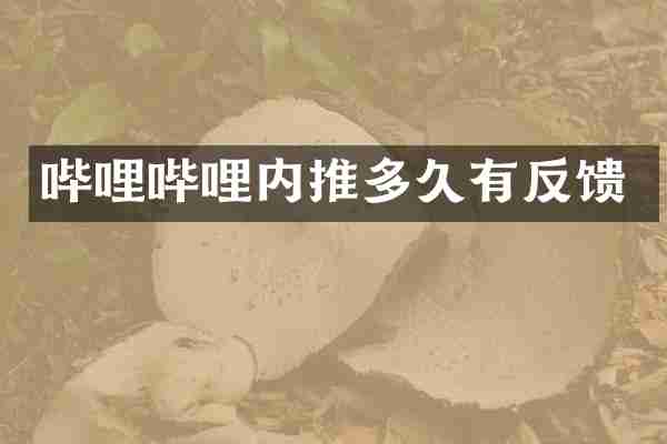哔哩哔哩内推多久有反馈