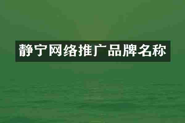 静宁网络推广品牌名称