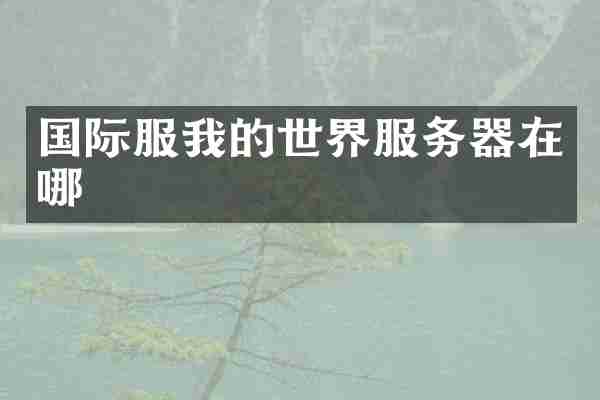 国际服我的世界服务器在哪
