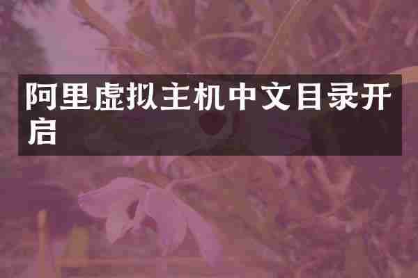 阿里虚拟主机中文目录开启