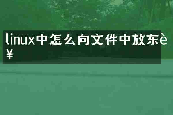 linux中怎么向文件中放东西