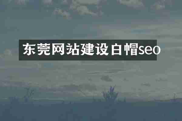 东莞网站建设白帽seo