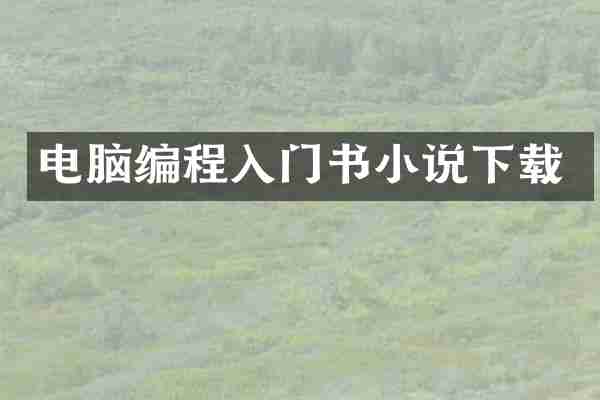 电脑编程入门书小说下载