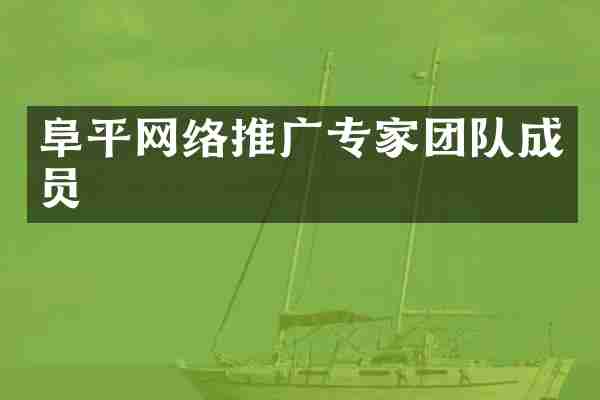 阜平网络推广专家团队成员
