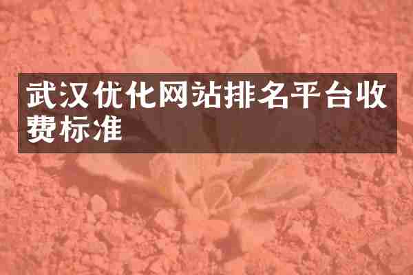 武汉优化网站排名平台收费标准