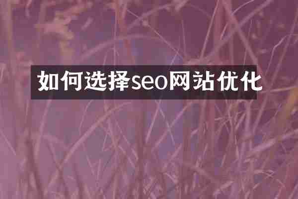 如何选择seo网站优化
