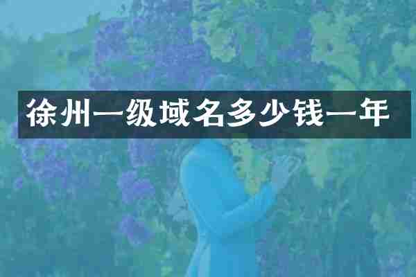 徐州一级域名多少钱一年