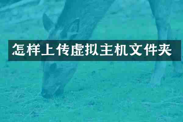 怎样上传虚拟主机文件夹