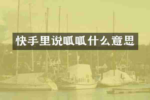 快手里说呱呱什么意思