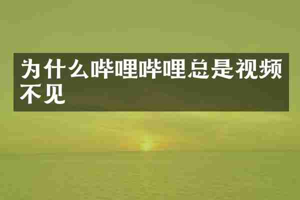 为什么哔哩哔哩总是视频不见