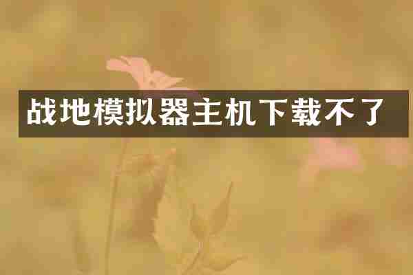 战地模拟器主机下载不了