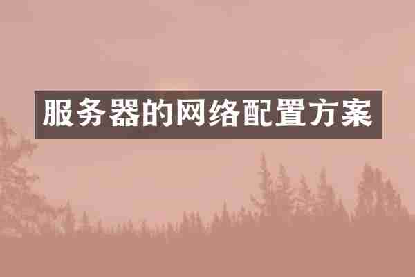 服务器的网络配置方案