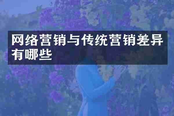 网络营销与传统营销差异有哪些