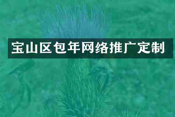 宝山区包年网络推广定制
