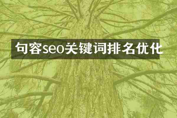 句容seo关键词排名优化