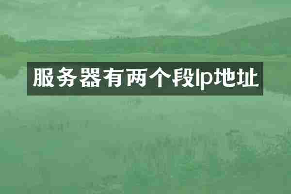 服务器有两个段Ip地址