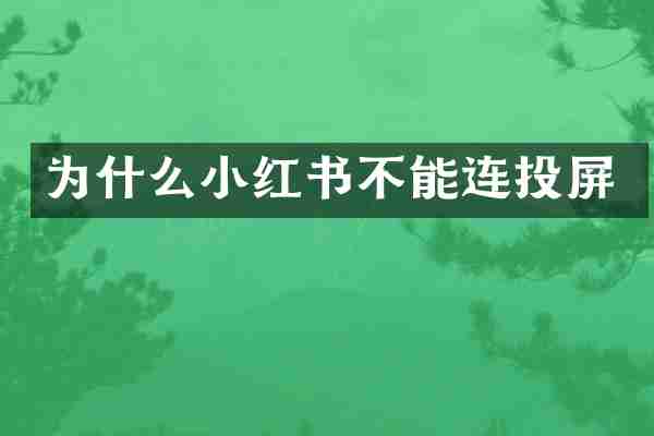 为什么小红书不能连投屏