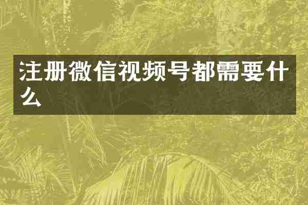 注册微信视频号都需要什么