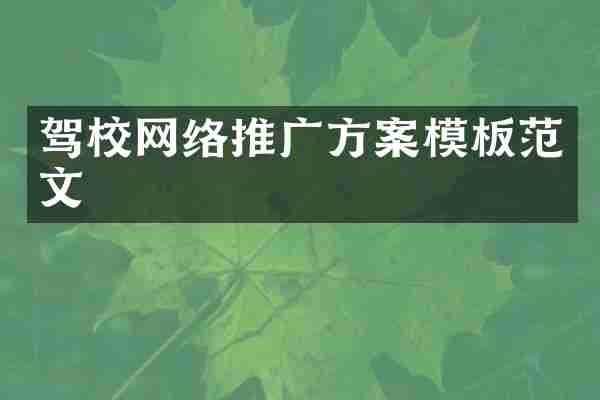 驾校网络推广方案模板范文