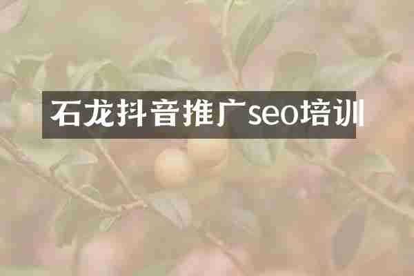 石龙抖音推广seo培训