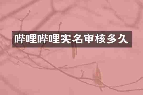 哔哩哔哩实名审核多久