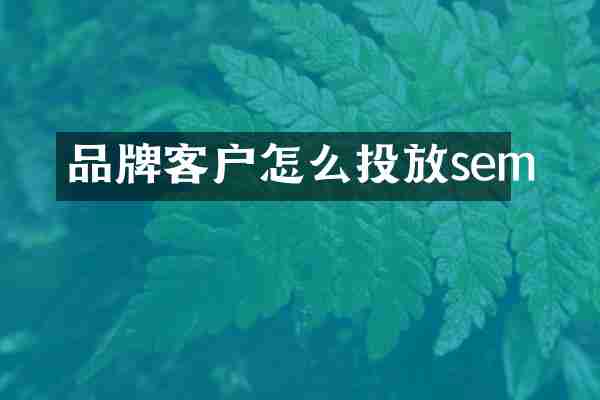 品牌客户怎么投放sem
