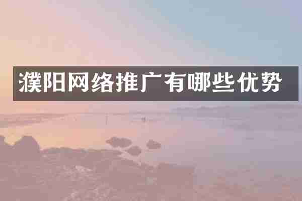 濮阳网络推广有哪些优势