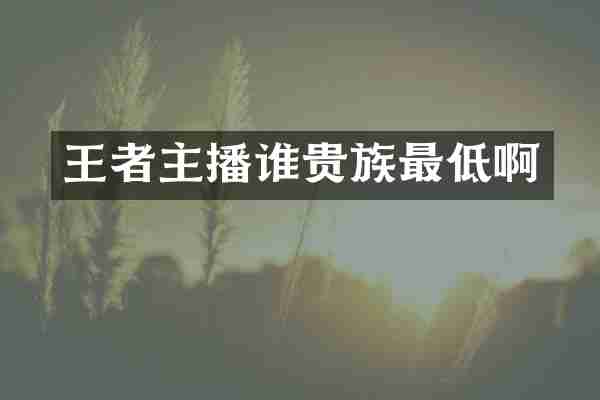 王者主播谁贵族最低啊