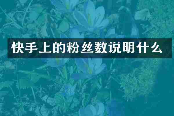 快手上的粉丝数说明什么