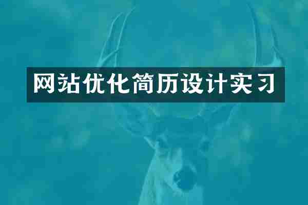 网站优化简历设计实习