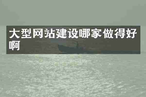 大型网站建设哪家做得好啊