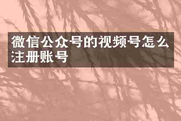 微信公众号的视频号怎么注册账号