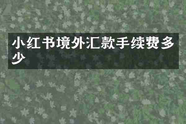 小红书境外汇款手续费多少