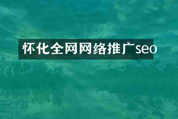 怀化全网网络推广seo